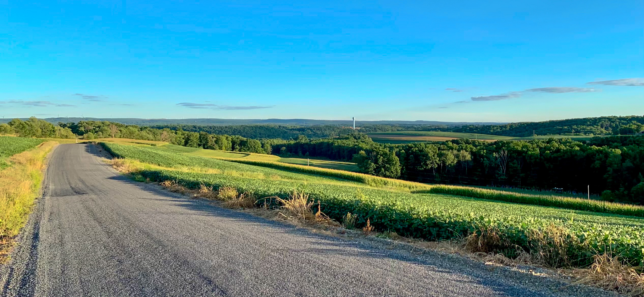 Photo of a road through a field